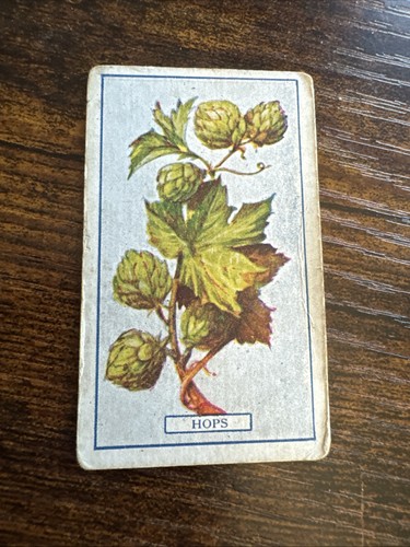 1917 gallaher plants of - 1917,