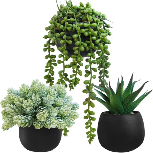 Set artificial succulent - of, 3