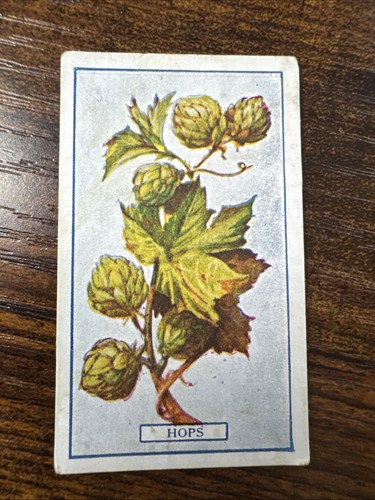 1917 gallaher plants - 1917,