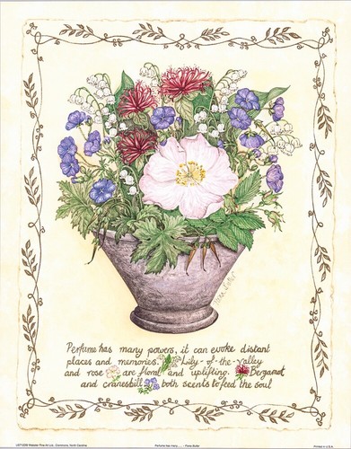 Fiona butler botanical plants - butler,