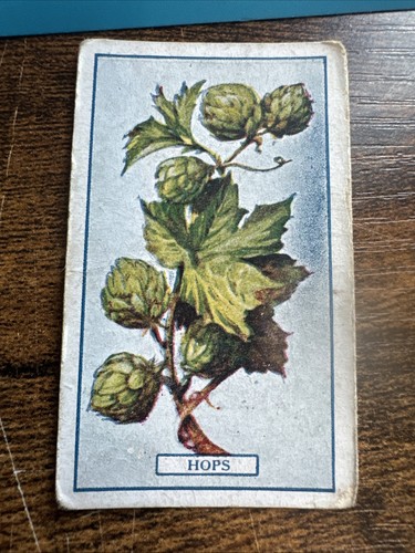 1917 gallaher plants - 1917,