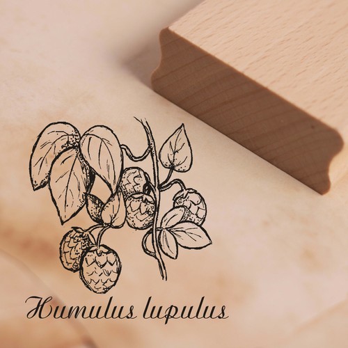Stamp humulus lupulus - lupulus, motif