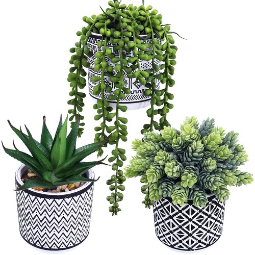 Pcs small potted succulents - pcs,