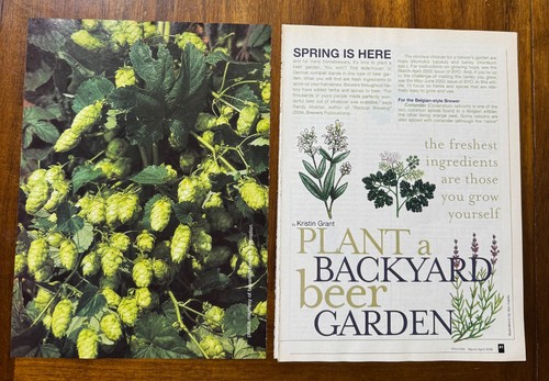 2006 magazine article backyard - 2006,