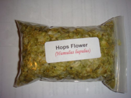 Hops flowers humulus - hops, (humulus
